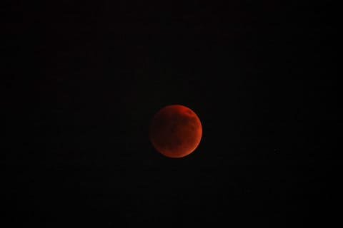 UAE skywatchers captivated by Blood Moon during 2025 lunar eclipse