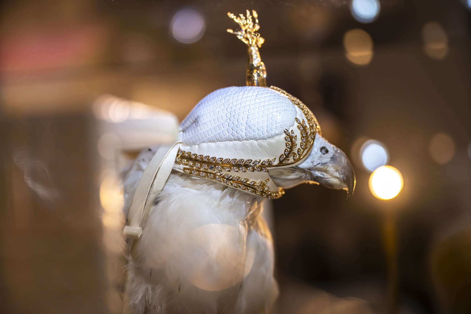 This year’s ADIHEX, held at ADNEC Centre Abu Dhabi, has placed falconry firmly in the spotlight.