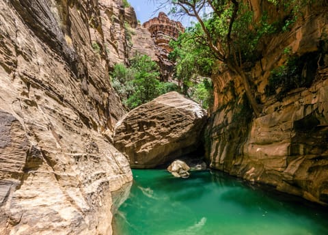 Nestled in the mountains of Saudi Arabia’s Jazan region, Wadi Lajab has emerged as one of the kingdom’s most captivating natural attractions. 