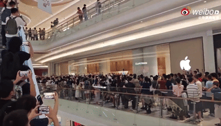 iPhone 17 a smash-hit in China: Price no barrier? Viral video shows long queue at Apple store