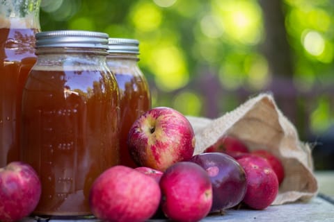 Journal retracts study linking apple cider vinegar to weight loss
