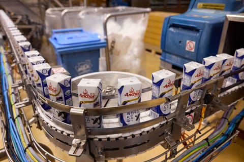 Milk Production at Fonterra Cooperative Facility