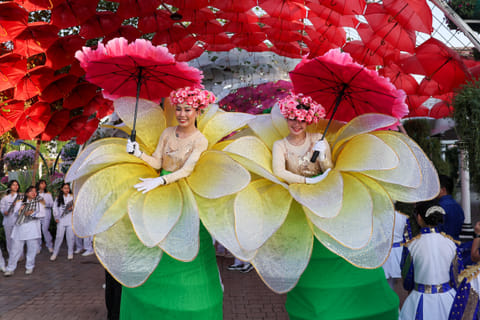 Dubai Miracle Garden opens with plenty of fanfare