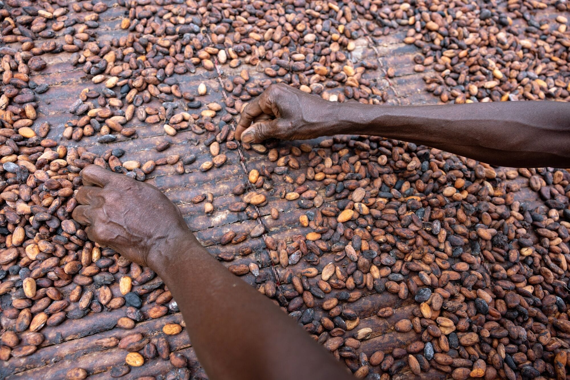 African cocoa harvest might improve but your chocolate prices won’t.