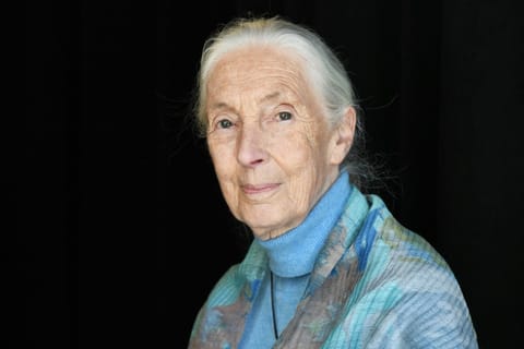 APRIL 23 Dr. Jane Goodall attends the TIME 100 Summit 2019 on April 23, 2019 in New York City.
