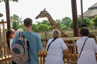 Dubai Safari Park: What to expect this season