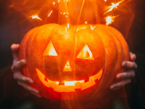 Want to see an immersive show where fantasy meets fear? We've got you covered