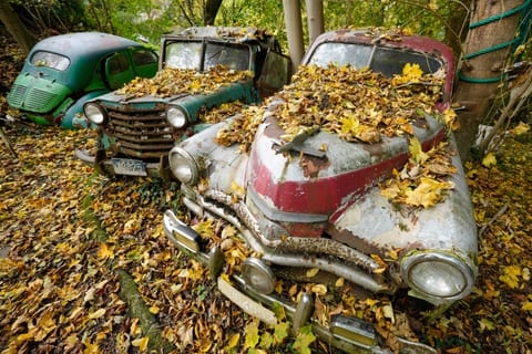 An FSO Warszawa from Poland stands among other vintage cars at a private sculpture park in Germany’s Neanderthal Valley — where nature reclaims nostalgia as moss and maple leaves embrace the rusting classics.