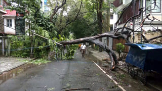 Red alert, cyclone warning, schools shut in Tamil Nadu