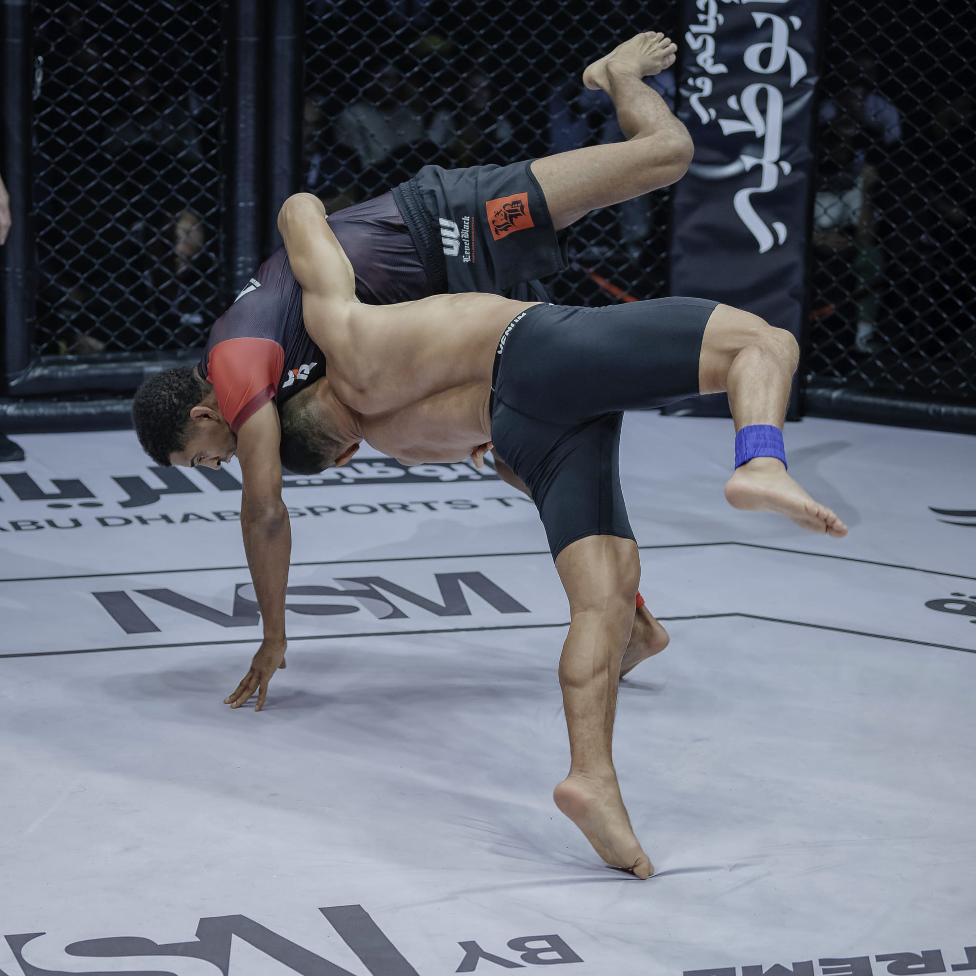 ADXC has consistently attracted some of the sport’s biggest international stars and built a strong following among global combat sports fans.