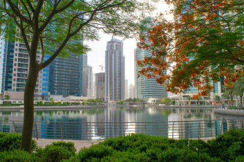 This picture is only for illustrative purposes. The lakefront (Lake D) is undergoing upgrades to improve community life, green spaces, and recreational areas