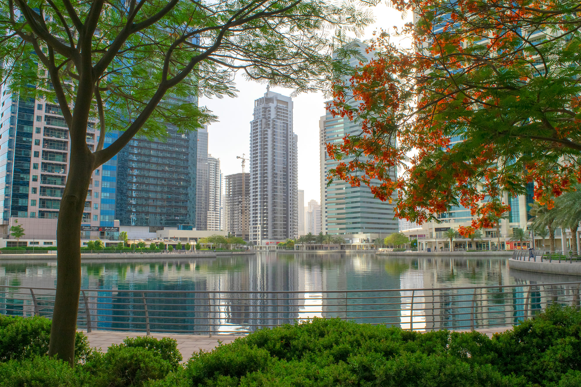 Jumeirah Lakes Towers