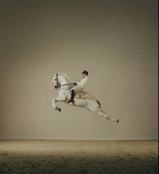 A look at the horsemanship on display at ADREA