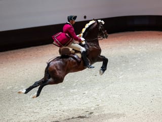 Watch: Sheikh Mansour inaugurates Abu Dhabi Royal Equestrian Arts