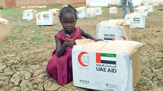 UAE and Sudan: Historic bonds stronger than ever despite misrepresentation