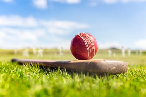 Cricket bat and ball