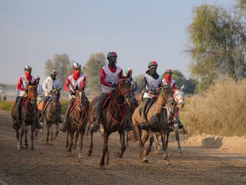 Seeh Al Salam Challenges gets 2025-2026 DIEC season under way