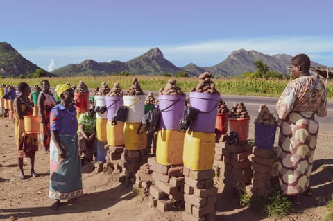 NAMA launches 3-year mushroom farming program to empower 900 rural women in Malawi