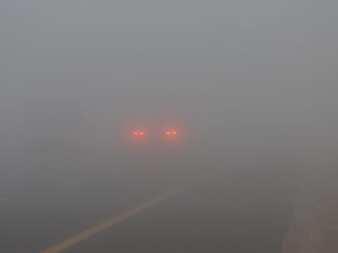 UAE schools issue fog safety guidance, suspend buses in low visibility