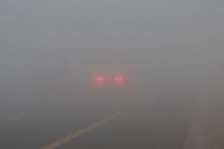 In Pictures: Heavy fog blankets Dubai as authorities urge drivers to take caution