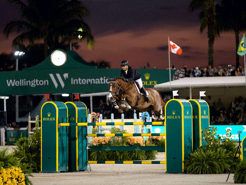 Modon joins a consortium of investors to elevate Wellington International equestrian showgrounds and develop an ultra-luxury destination integrating residential, hospitality and sports assets in Wellington, Palm Beach County, Florida