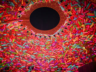 Professional chefs from across the UAE showcase intricate edible art on the opening day of the Festival of Cake at Expo City Dubai.

