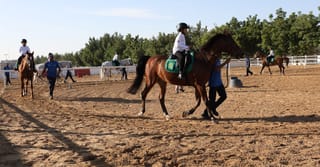 Winter break goes riding: Dubai Police trains 300 students in horsemanship