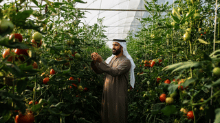 Agriculture thrives in Abu Dhabi as licences soar 29% in nine months