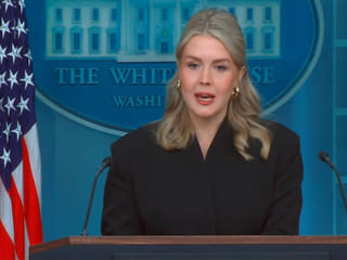 US, Denmark agree to 'establish a working group for technical talks on the acquisition of Greenland': White House