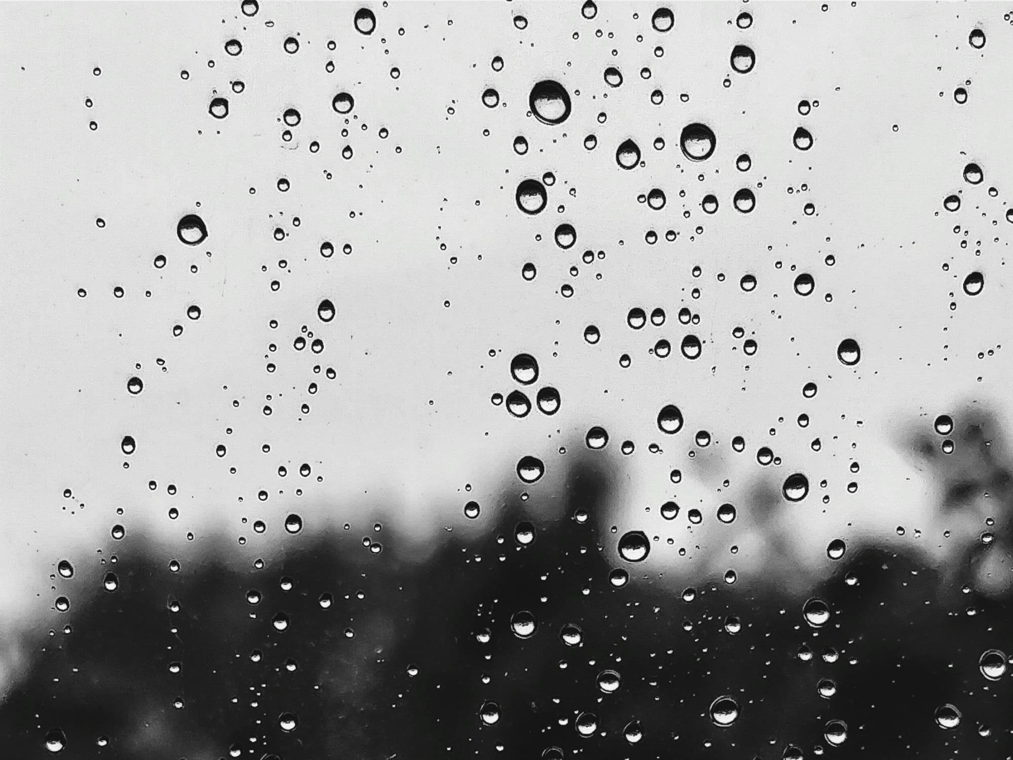 Authorities have urged families and school communities to monitor official weather reports and comply with safety instructions issued by relevant agencies, as unstable weather patterns are expected to continue in the coming days.


