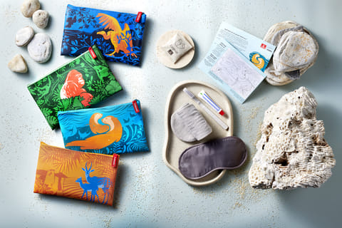 Are you excited to fly Emirates soon? Dubai's flagship airline is giving away amenity pouches in Economy and Premium Economy classes.  