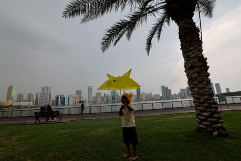 Light to moderate winds are forecast, occasionally freshening and causing blowing dust