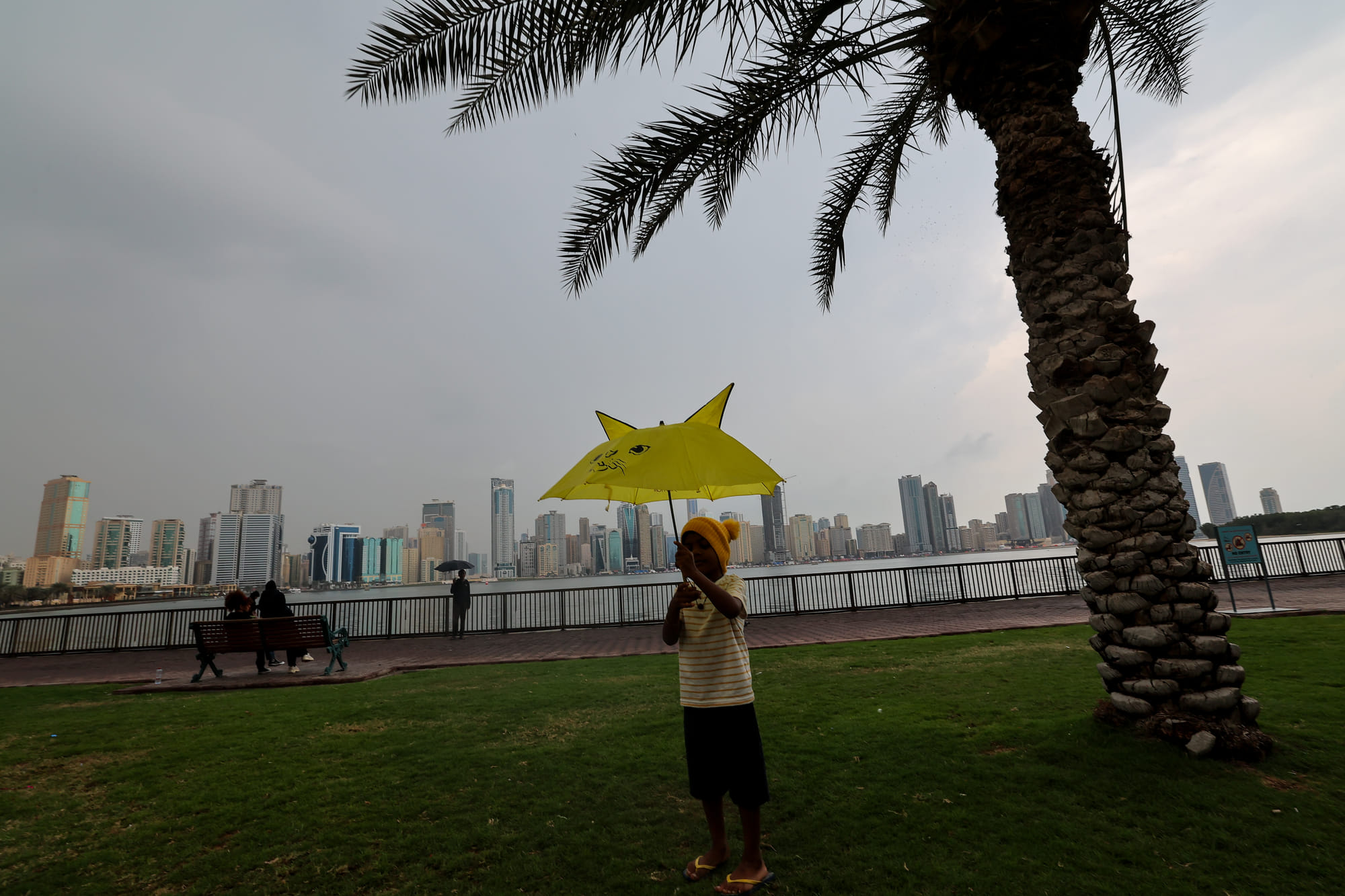 Light to moderate winds are forecast, occasionally freshening and causing blowing dust