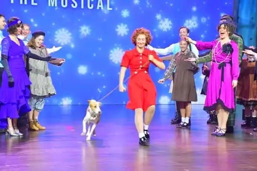 Brody, a gentle desert mix who once relied on passing visitors for food, played Sandy in the production showcased at Dubai's Zabeel Theatre.