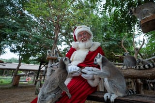 Dubai Safari Park debuts its first Festive Village — here’s what to expect