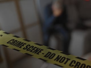 8 kids dead in US domestic violence shooting: police