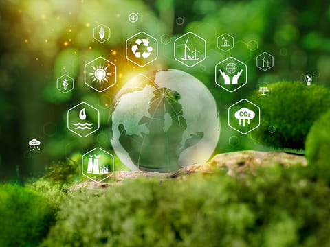 Recent surveys show that half of UAE residents recycle once or twice a week, and 13 per cent do so daily, reflecting a growing sense of public participation.