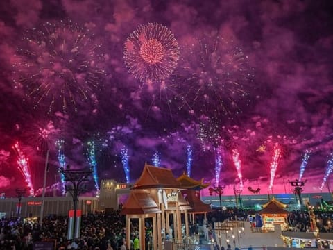 UAE to welcome 2026 with record-breaking fireworks and drone shows