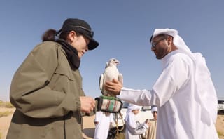 UAE–Japan falconry programme returns for third edition in Al Ain