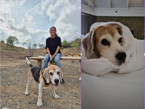 Rupkatha Bhowmick's dog suffered from Canine Lafora. 