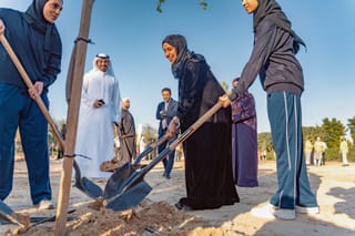 Dubai rolls out massive tree-planting plan across schools and parks