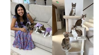 Tales from Abu Dhabi: How one community stepped up to rescue 100 cats and inspire change