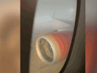 Air India Delhi–New York flight engine sucks in baggage container