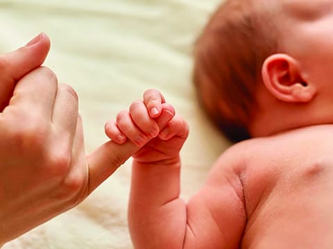 The employee is entitled to maternity leave even during the probation period, in accordance with the law