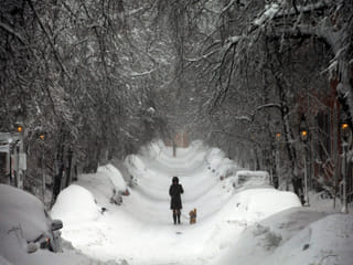 US winter storm causes 850,000 power outages, forces 10,000 flight cancellations