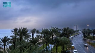 Saudi Arabia braces for subzero temps, thunderstorms and rain