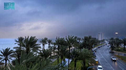 Saudi Arabia faces 0°C to −3°C temps with frost forming across affected regions