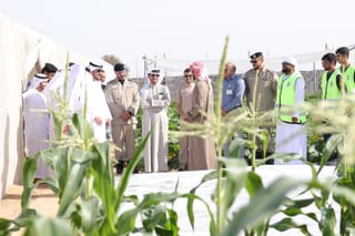 Sharjah steps up farm inspections, praises model agricultural practices