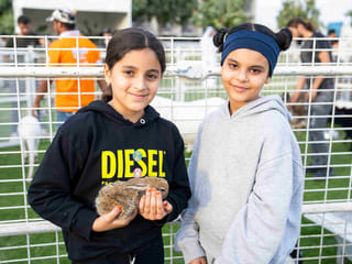 Abu Dhabi festival blends learning and fun for pet owners