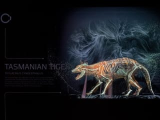 Sheikh Hamdan announces Life and Biodiversity Laboratory in Dubai showcasing woolly mammoth, other extinct species